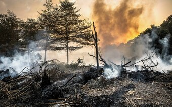 Оценка ущерба после стихийного бедствия в Волгограде: отчет оценщика